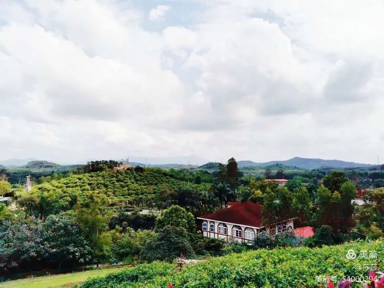 【校園動態(tài)】賞花憶往昔——?？邳S岡金盤高級中學(xué)高中部研學(xué)之旅