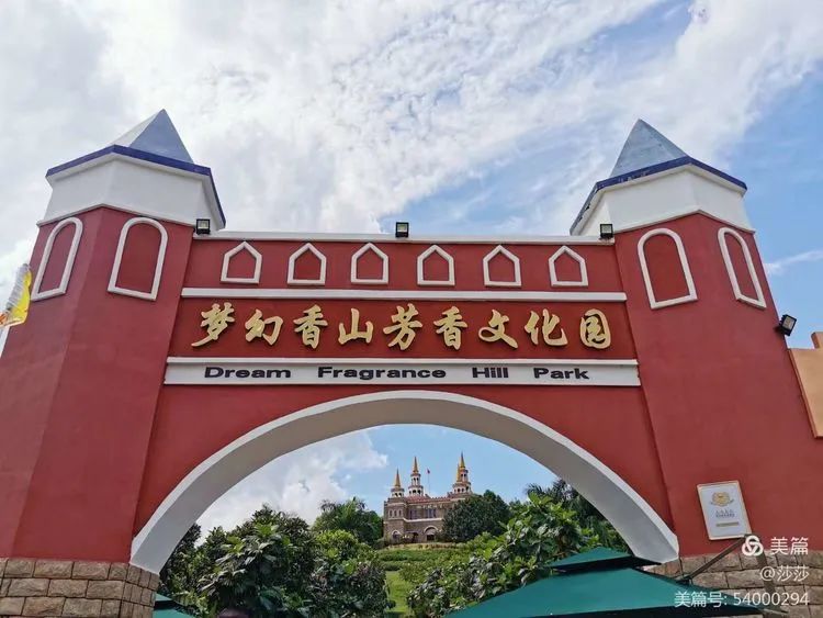 【校園動態(tài)】賞花憶往昔——?？邳S岡金盤高級中學(xué)高中部研學(xué)之旅