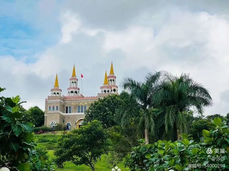 【校園動態(tài)】賞花憶往昔——?？邳S岡金盤高級中學(xué)高中部研學(xué)之旅